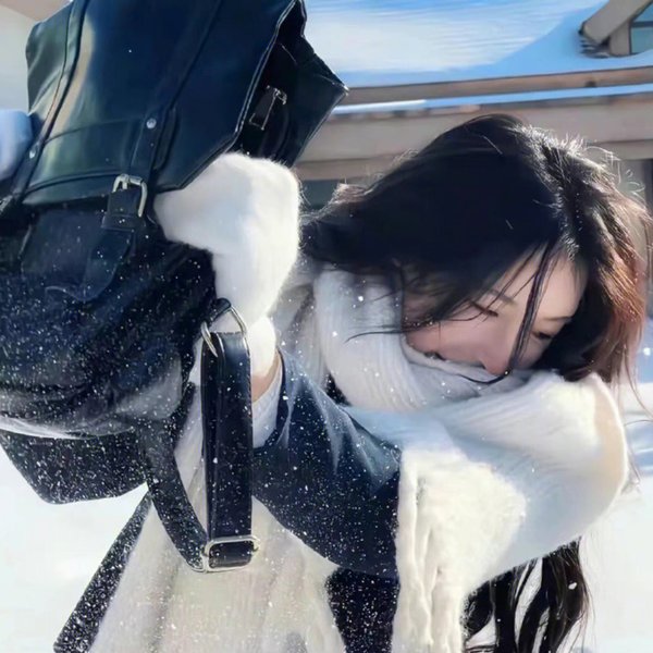 白鸟：奇迹